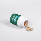 Cordyceps Mushroom